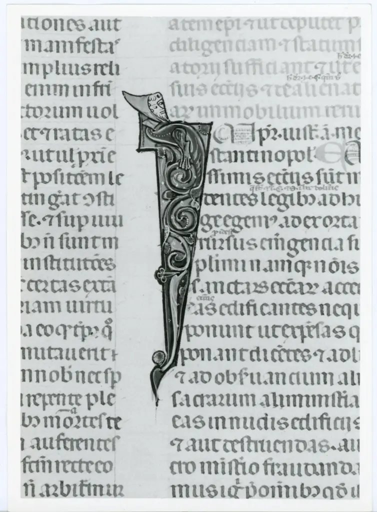 Anonimo italiano sec. XIV , Iniziale I, Iniziale figurata, Testa d'uomo di profilo