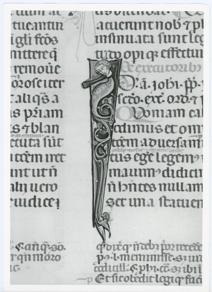 Università di Pisa. Dipartimento di Storia delle Arti , Anonimo italiano - sec. XIV, primo quarto - Lucca, Biblioteca Capitolare Feliniana, Ms. 325, f. 132v, particolare , fronte