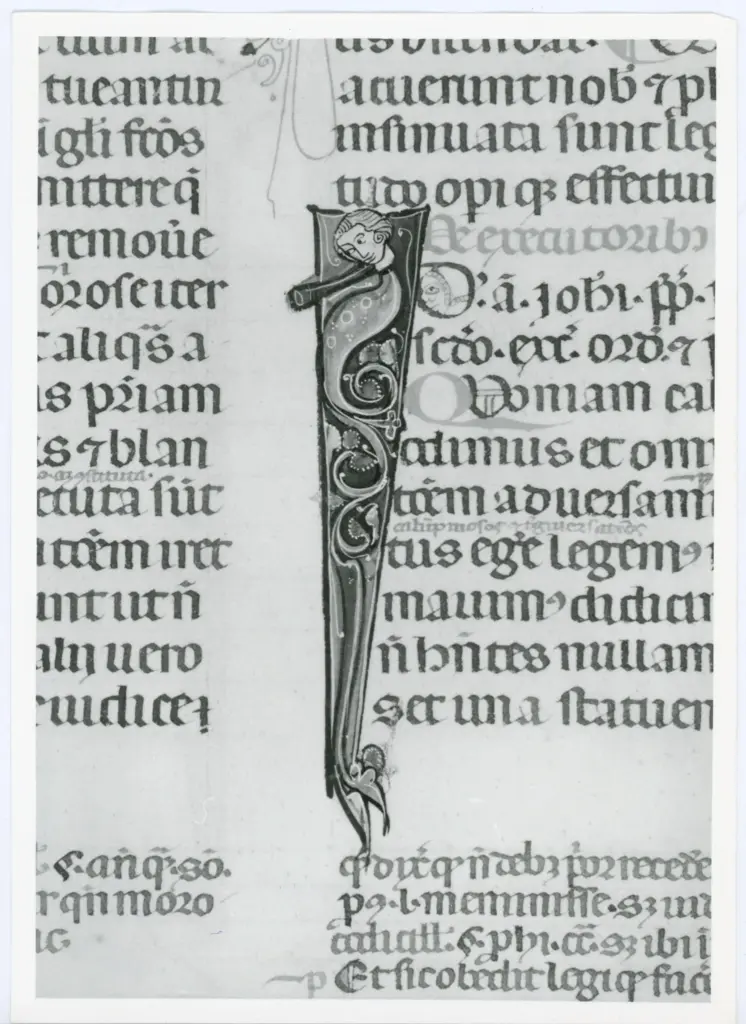 Universit&agrave; di Pisa. Dipartimento di Storia delle Arti , Anonimo italiano - sec. XIV, primo quarto - Lucca, Biblioteca Capitolare Feliniana, Ms. 325, f. 132v, particolare , fronte