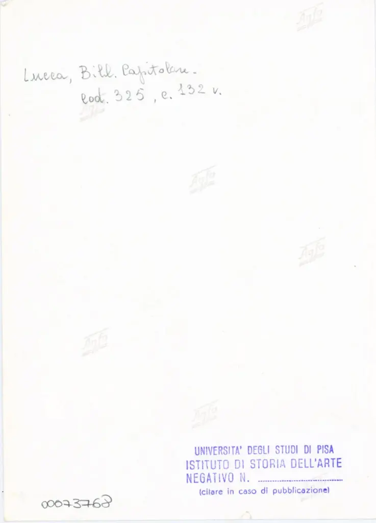 Universit&agrave; di Pisa. Dipartimento di Storia delle Arti , Anonimo italiano - sec. XIV, primo quarto - Lucca, Biblioteca Capitolare Feliniana, Ms. 325, f. 132v, particolare , retro