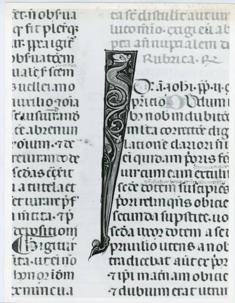 Universit&agrave; di Pisa. Dipartimento di Storia delle Arti , Anonimo italiano - sec. XIV, primo quarto - Lucca, Biblioteca Capitolare Feliniana, Ms. 325, f. 131v, particolare , fronte