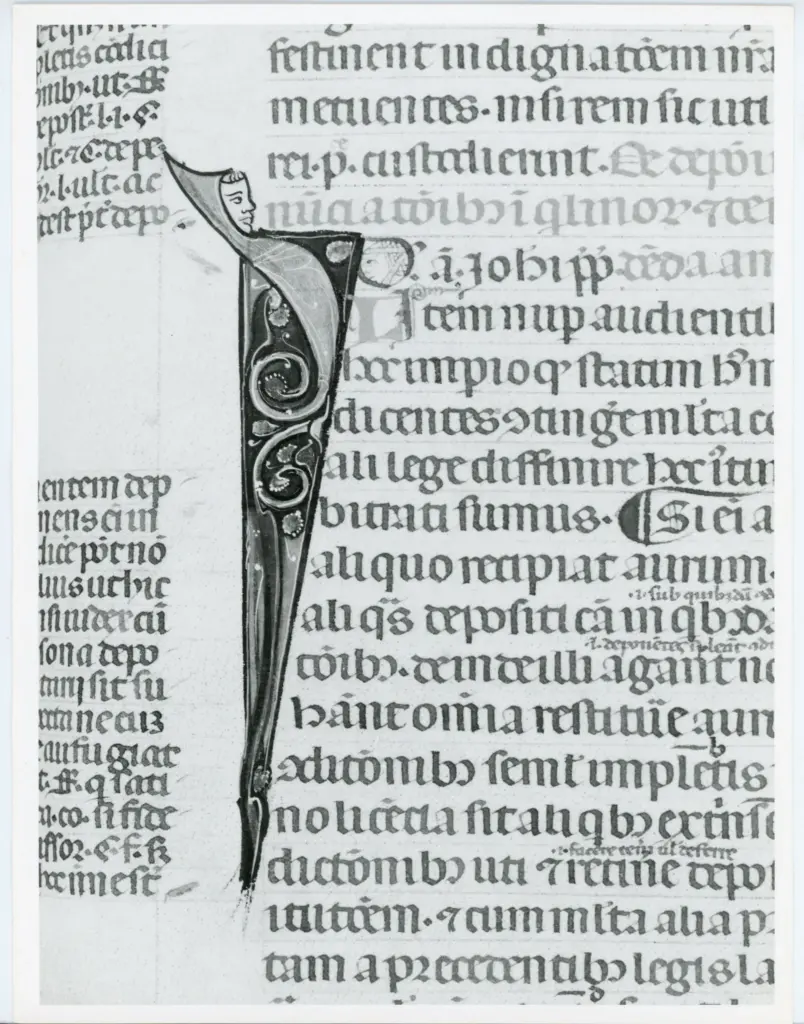 Anonimo italiano sec. XIV , Iniziale I, Iniziale figurata, Testa d'uomo di profilo, Motivi decorativi fitomorfi