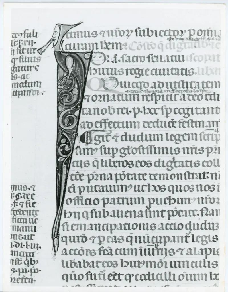 Anonimo italiano sec. XIV , Iniziale I, Iniziale figurata, Testa d'uomo di profilo, Motivo decorativo zoomorfo, Motivi decorativi fitomorfi