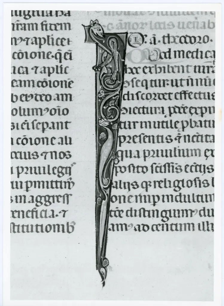 Universit&agrave; di Pisa. Dipartimento di Storia delle Arti , Anonimo italiano - sec. XIV, primo quarto - Lucca, Biblioteca Capitolare Feliniana, Ms. 325, f. 138r, particolare , fronte