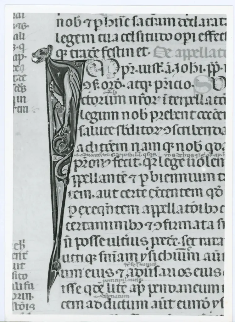 Anonimo italiano sec. XIV , Iniziale I, Iniziale figurata, Motivo decorativo zoomorfo