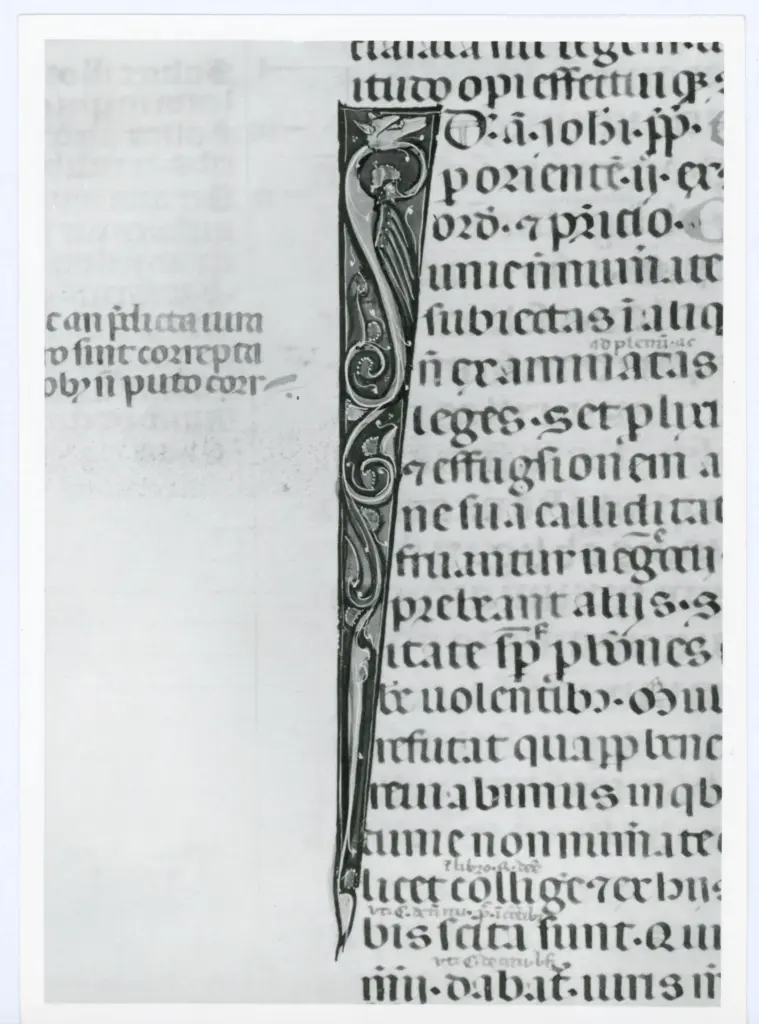 Universit&agrave; di Pisa. Dipartimento di Storia delle Arti , Anonimo italiano - sec. XIV, primo quarto - Lucca, Biblioteca Capitolare Feliniana, Ms. 325, f. 135v, particolare , fronte