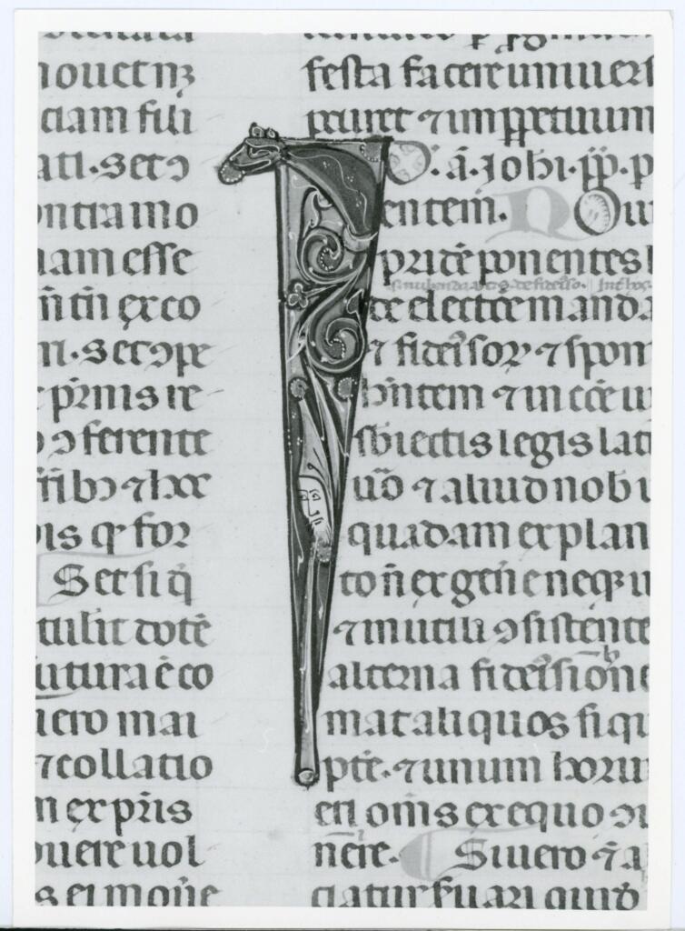 Anonimo italiano sec. XIV , Iniziale I, Iniziale figurata, Motivi decorativi vegetali e zoomorfi, Testa d'uomo di scorcio