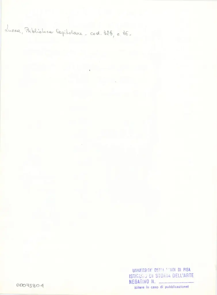Universit&agrave; di Pisa. Dipartimento di Storia delle Arti , Anonimo italiano - sec. XIV, primo quarto - Lucca, Biblioteca Capitolare Feliniana, Ms. 325, f. 36r, particolare , retro