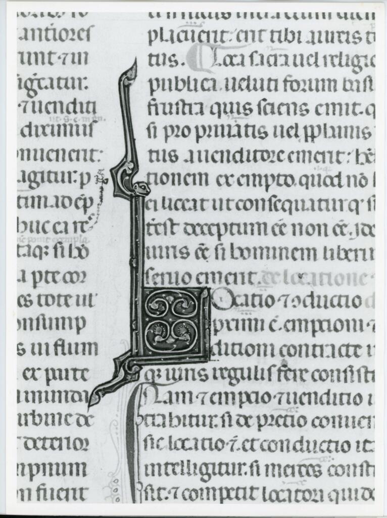 Anonimo italiano sec. XIV , Iniziale L, Iniziale figurata, Motivi decorativi vegetali e zoomorfi