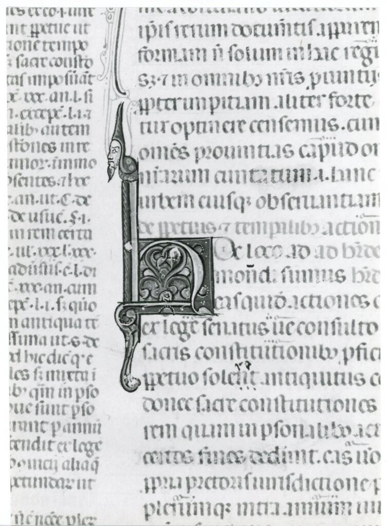 Anonimo italiano sec. XIV , Iniziale H, Iniziale decorata, Motivi decorativi vegetali e zoomorfi, Protome con barba