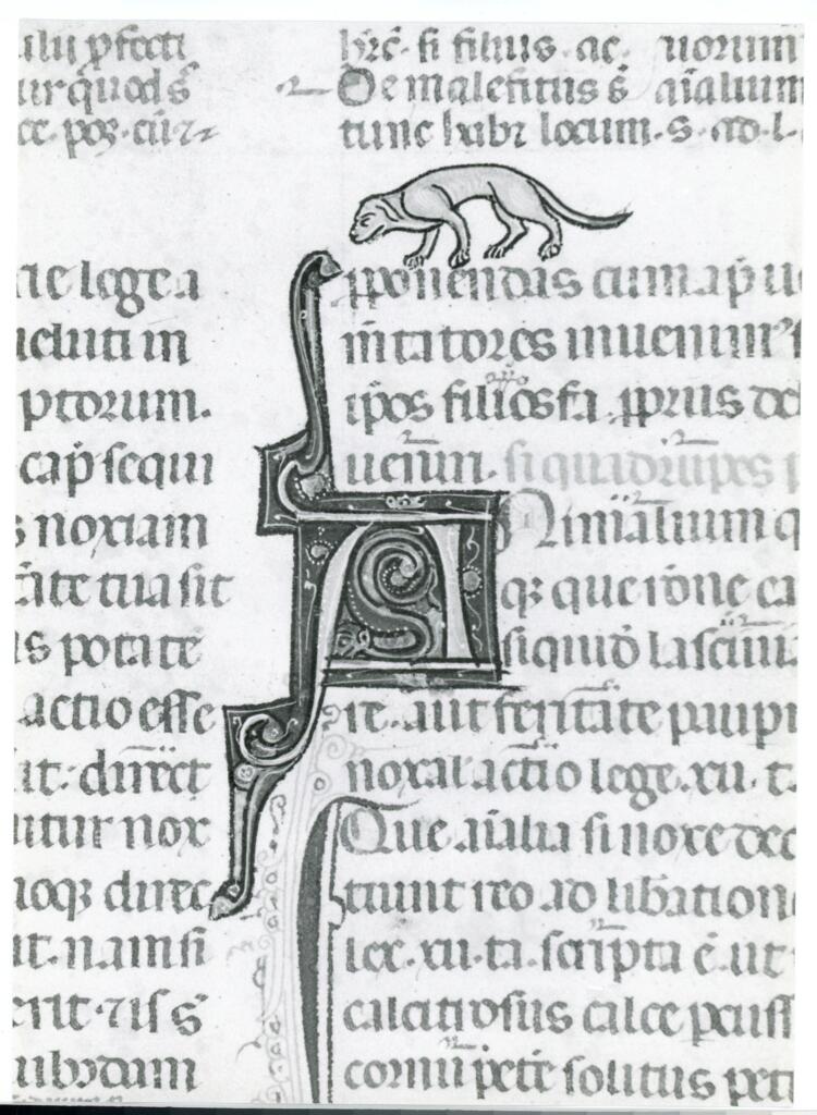 Anonimo italiano sec. XIV , Iniziale A, Iniziale decorata, Motivi decorativi vegetali e animali