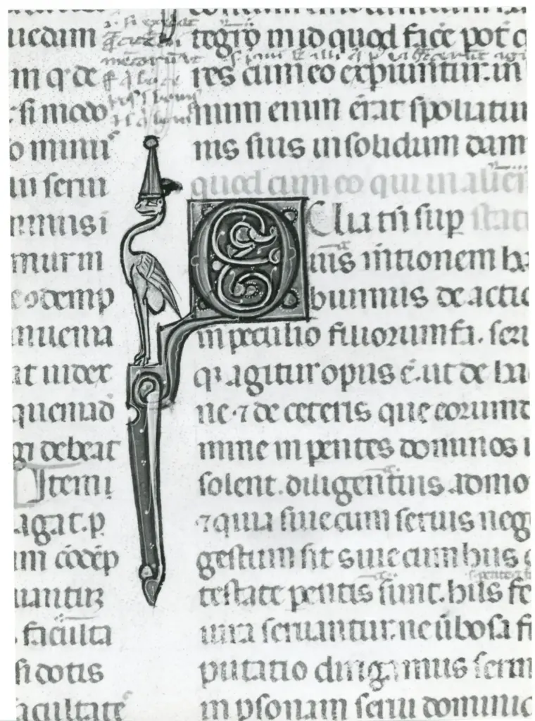 Anonimo italiano sec. XIV , Iniziale Q, Iniziale decorata, Motivi decorativi fitomorfi, Motivo decorativo con animali fantastici