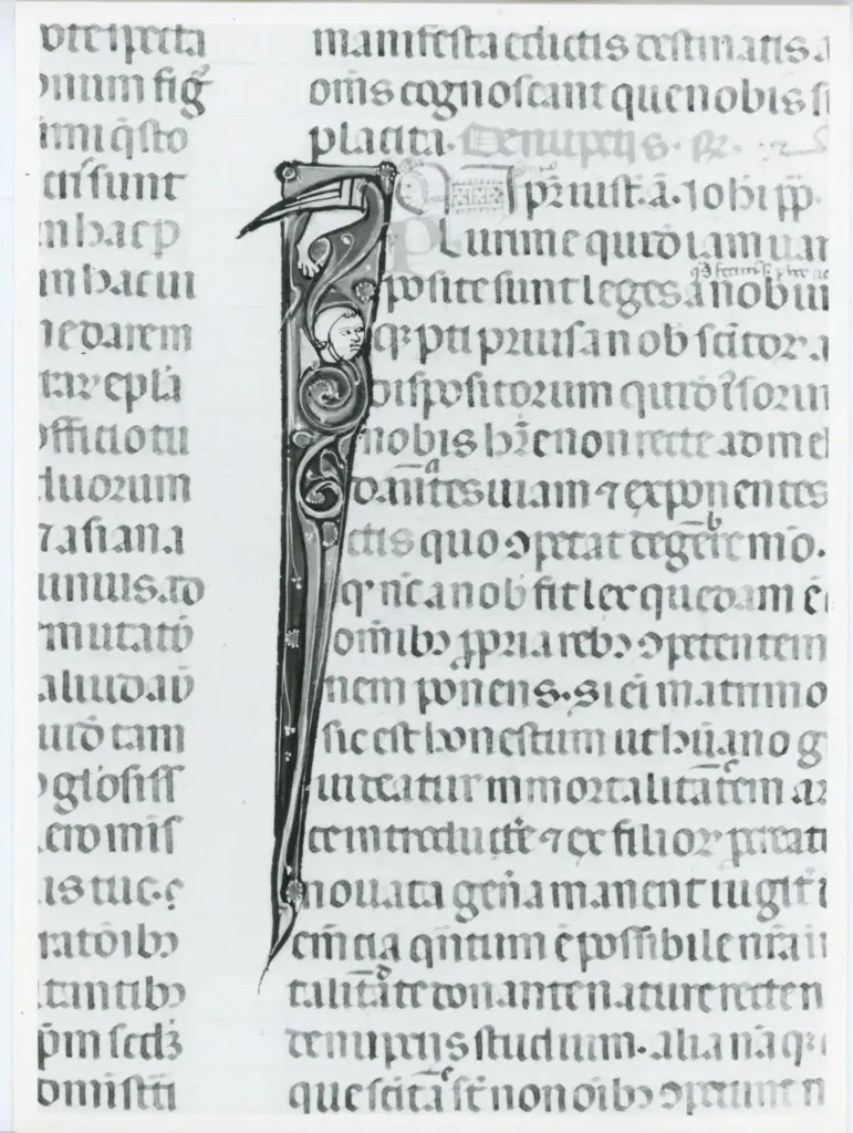 Universit&agrave; di Pisa. Dipartimento di Storia delle Arti , Anonimo italiano - sec. XIV, primo quarto - Lucca, Biblioteca Capitolare Feliniana, Ms. 325, f. 88r, particolare , fronte