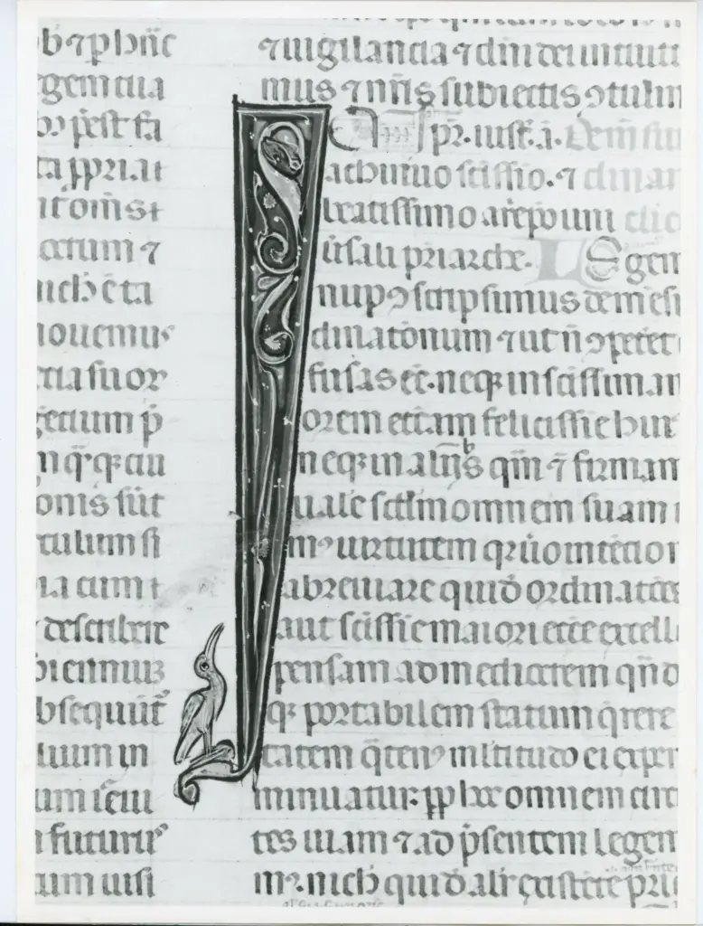 Universit&agrave; di Pisa. Dipartimento di Storia delle Arti , Anonimo italiano - sec. XIV, primo quarto - Lucca, Biblioteca Capitolare Feliniana, Ms. 325, f. 82r, particolare , fronte