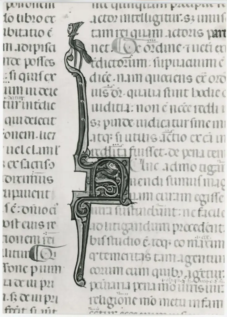 Anonimo italiano sec. XIV , Iniziale N, Iniziale decorata, Motivi decorativi con figure fantastiche, Motivi decorativi fitomorfi