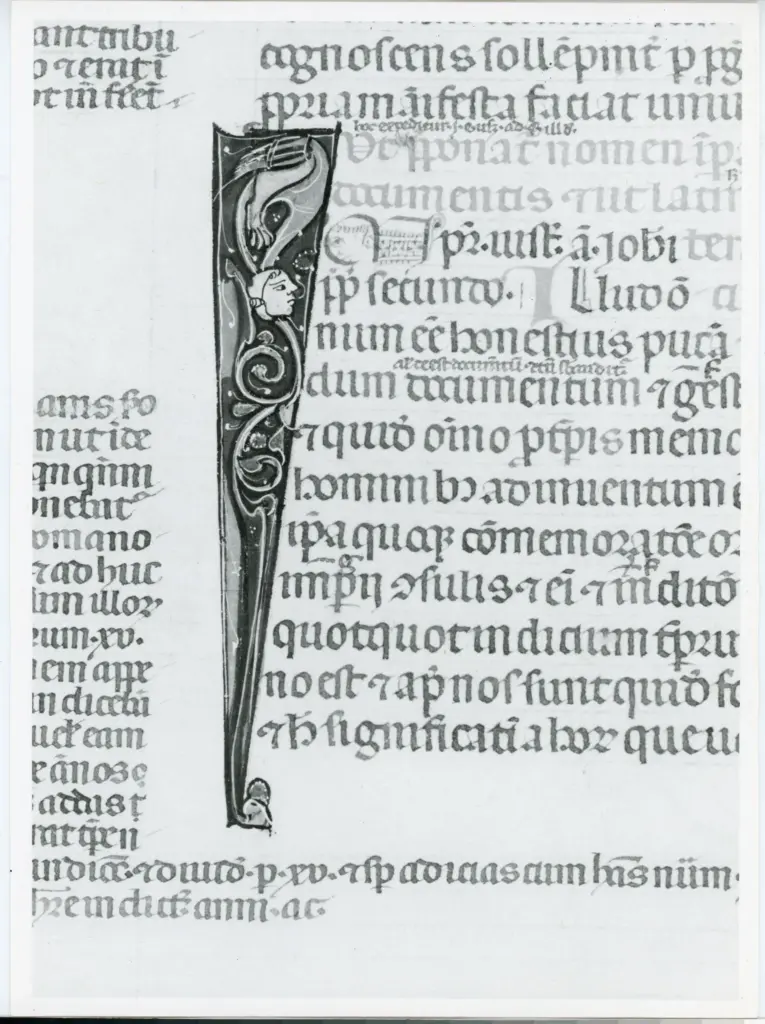 Universit&agrave; di Pisa. Dipartimento di Storia delle Arti , Anonimo italiano - sec. XIV, primo quarto - Lucca, Biblioteca Capitolare Feliniana, Ms. 325, f. 102v, particolare , fronte