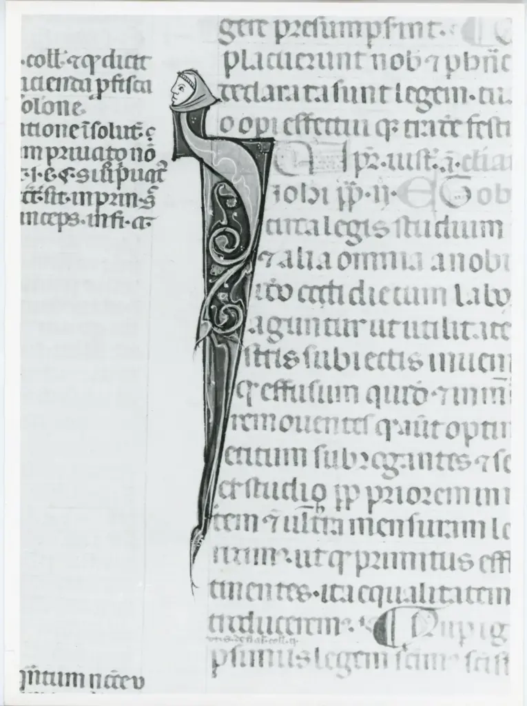 Anonimo italiano sec. XIV , Iniziale I, Iniziale figurata, Testa d'uomo di profilo, Motivi decorativi fitomorfi