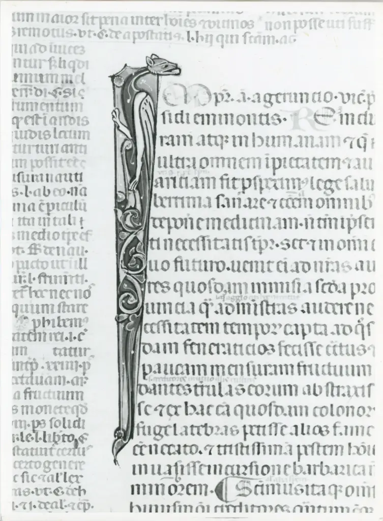 Universit&agrave; di Pisa. Dipartimento di Storia delle Arti , Anonimo italiano - sec. XIV, primo quarto - Lucca, Biblioteca Capitolare Feliniana, Ms. 325, f. 99v, particolare , fronte