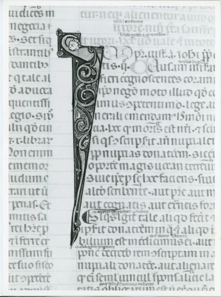 Università di Pisa. Dipartimento di Storia delle Arti , Anonimo italiano - sec. XIV, primo quarto - Lucca, Biblioteca Capitolare Feliniana, Ms. 325, f. 109r, particolare , fronte