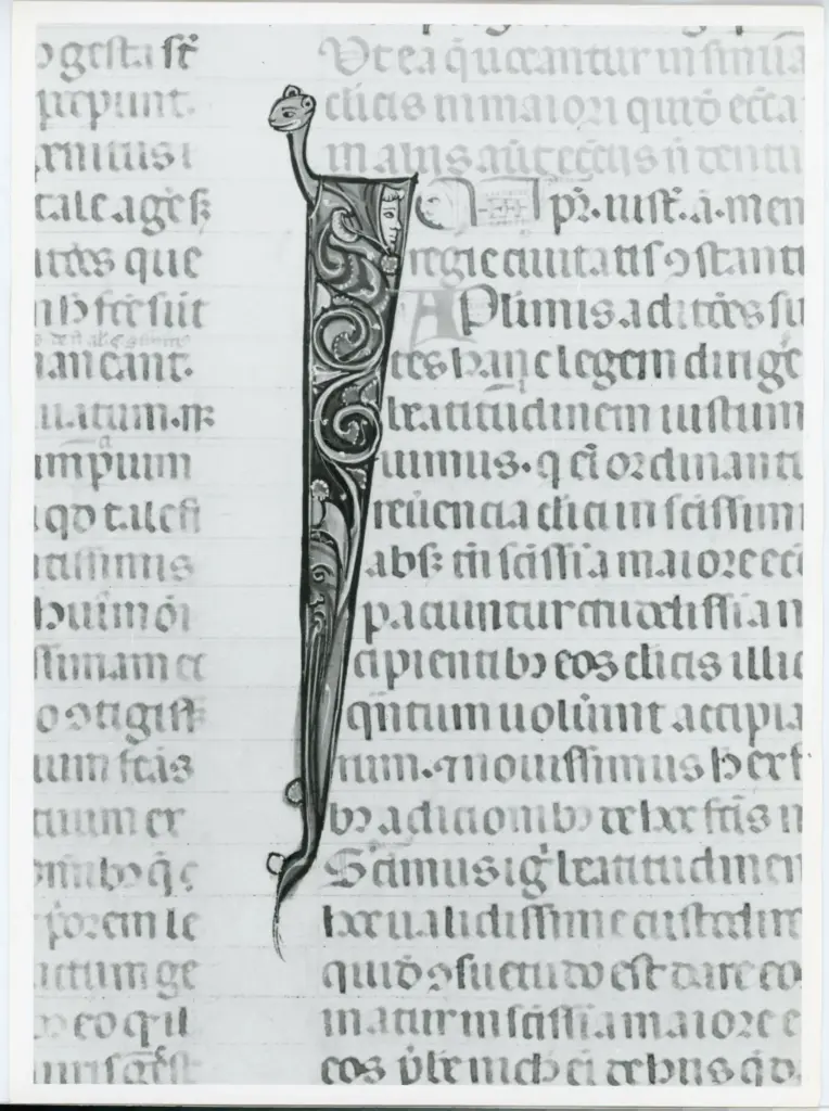 Anonimo italiano sec. XIV , Iniziale I, Iniziale figurata, Motivo decorativo con testa umana, Protome con barba, Motivi decorativi vegetali e zoomorfi