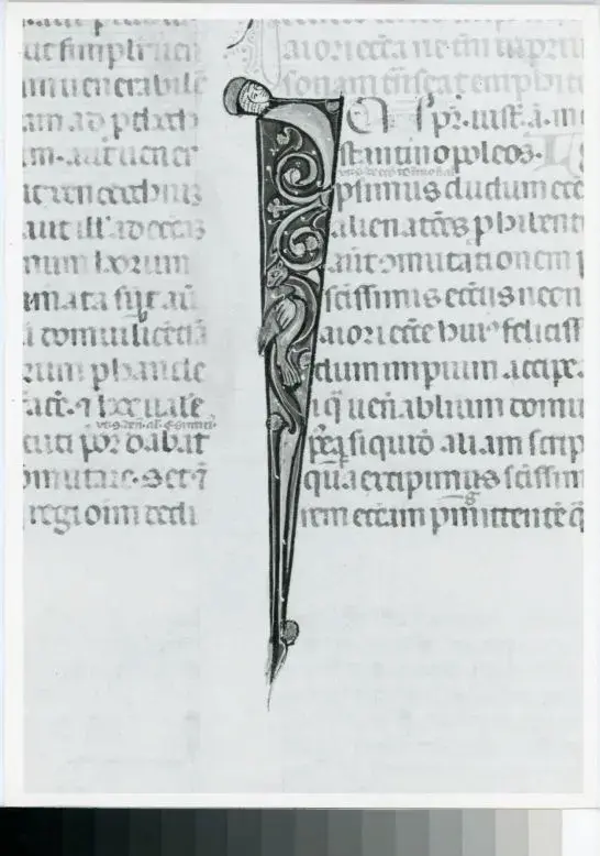 Universit&agrave; di Pisa. Dipartimento di Storia delle Arti , Anonimo italiano - sec. XIV, primo quarto - Lucca, Biblioteca Capitolare Feliniana, Ms. 325, f. 105v, particolare , fronte