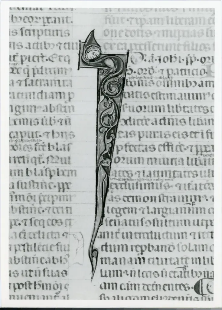 Universit&agrave; di Pisa. Dipartimento di Storia delle Arti , Anonimo italiano - sec. XIV, primo quarto - Lucca, Biblioteca Capitolare Feliniana, Ms. 325, f. 118r, particolare , fronte