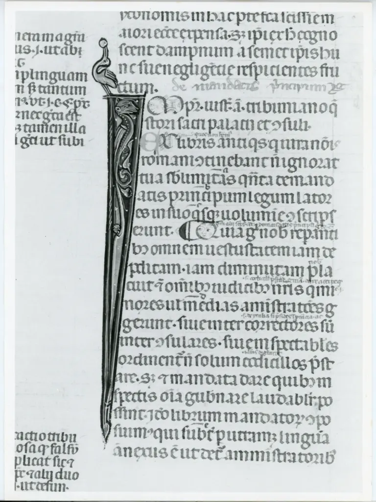 Università di Pisa. Dipartimento di Storia delle Arti , Anonimo italiano - sec. XIV, primo quarto - Lucca, Biblioteca Capitolare Feliniana, Ms. 325, f. 82v, particolare , fronte