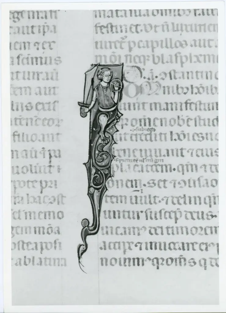 Universit&agrave; di Pisa. Dipartimento di Storia delle Arti , Anonimo italiano - sec. XIV, primo quarto - Lucca, Biblioteca Capitolare Feliniana, Ms. 325, f. 117v, particolare , fronte