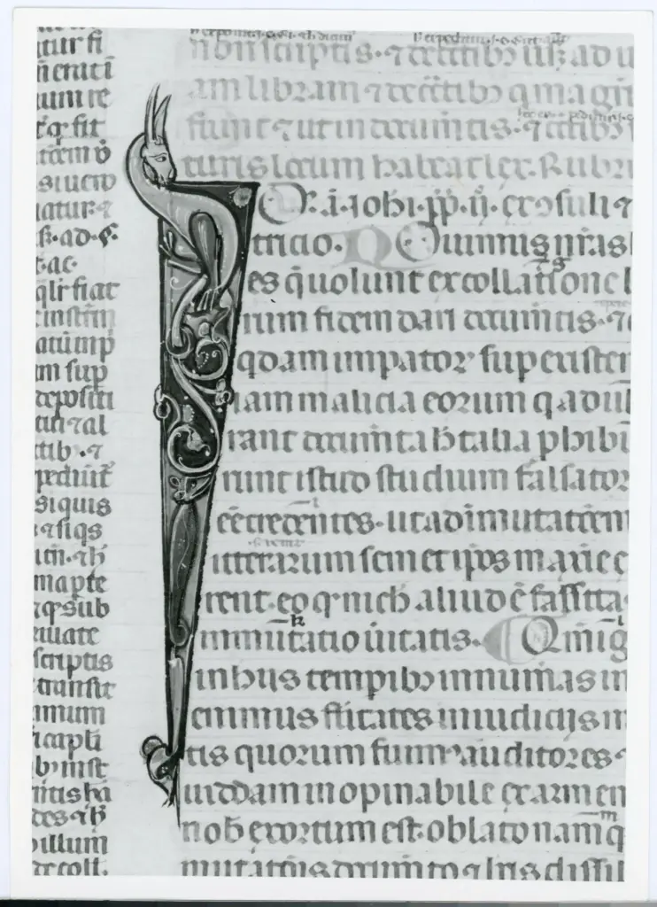 Universit&agrave; di Pisa. Dipartimento di Storia delle Arti , Anonimo italiano - sec. XIV, primo quarto - Lucca, Biblioteca Capitolare Feliniana, Ms. 325, f. 116r, particolare , fronte