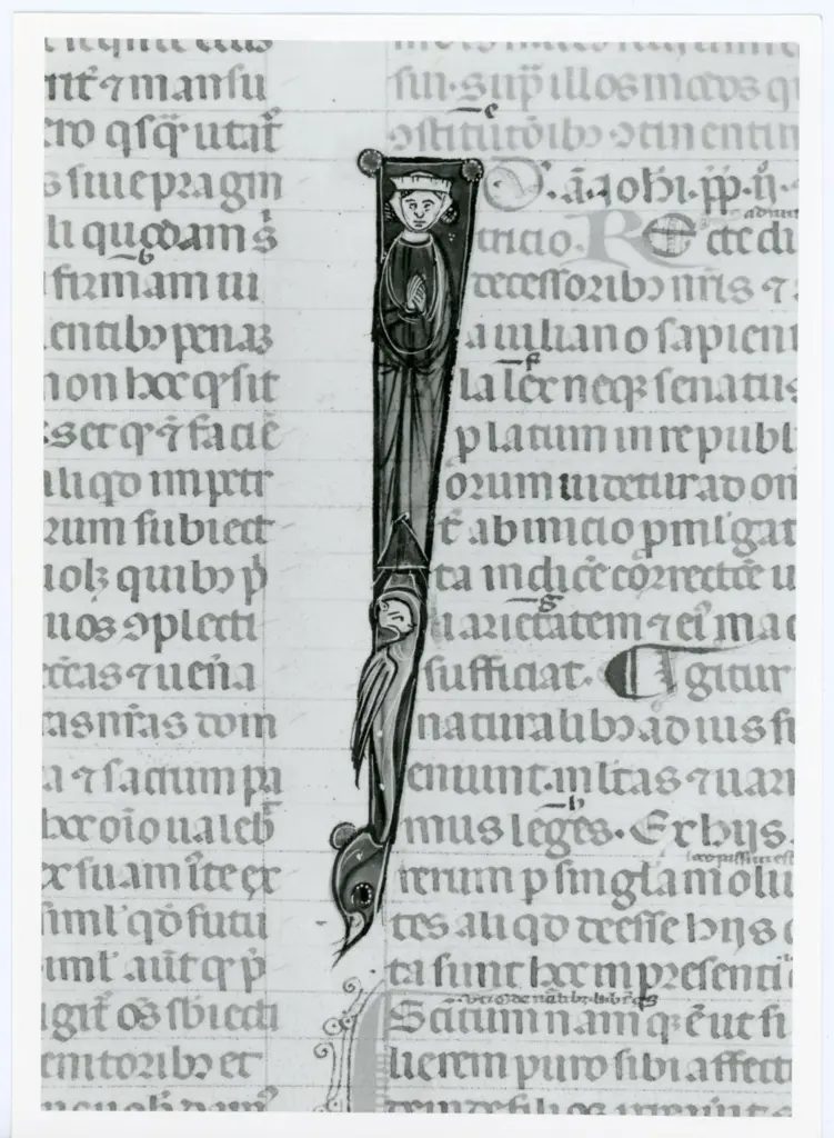 Università di Pisa. Dipartimento di Storia delle Arti , Anonimo italiano - sec. XIV, primo quarto - Lucca, Biblioteca Capitolare Feliniana, Ms. 325, f. 113r, particolare , fronte