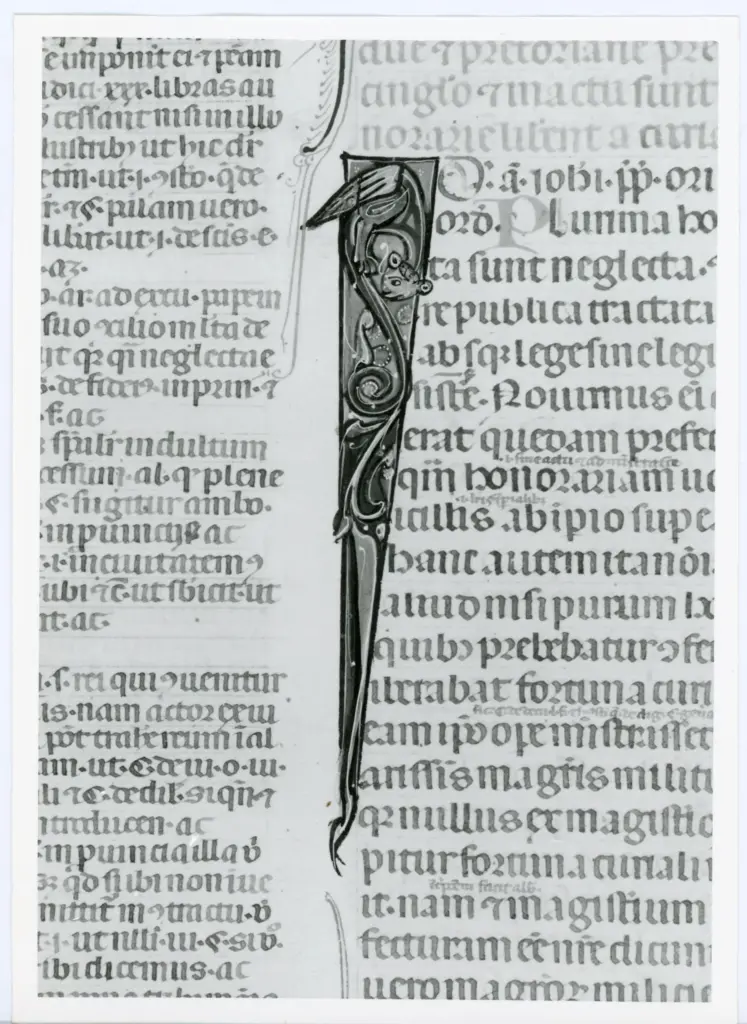 Università di Pisa. Dipartimento di Storia delle Arti , Anonimo italiano - sec. XIV, primo quarto - Lucca, Biblioteca Capitolare Feliniana, Ms. 325, f. 111v, particolare , fronte