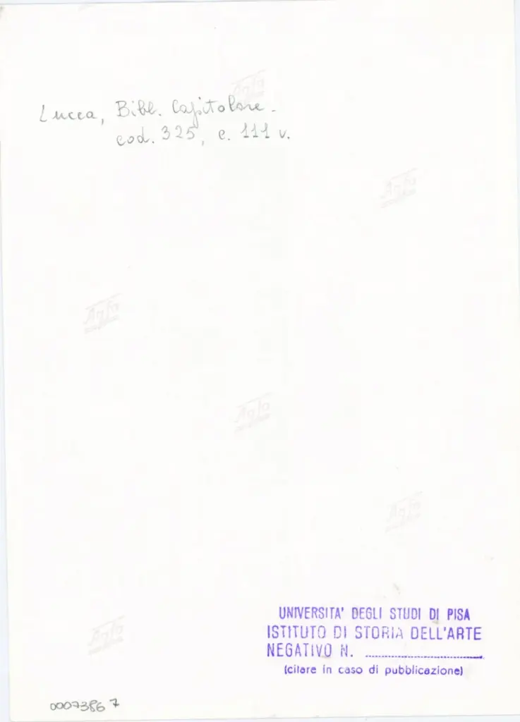 Università di Pisa. Dipartimento di Storia delle Arti , Anonimo italiano - sec. XIV, primo quarto - Lucca, Biblioteca Capitolare Feliniana, Ms. 325, f. 111v, particolare , retro