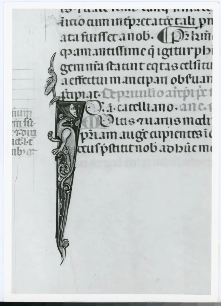 Universit&agrave; di Pisa. Dipartimento di Storia delle Arti , Anonimo italiano - sec. XIV, primo quarto - Lucca, Biblioteca Capitolare Feliniana, Ms. 325, f. 161r, particolare , fronte