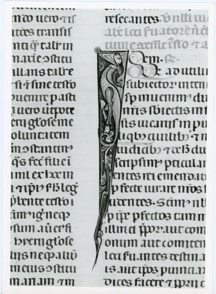 Universit&agrave; di Pisa. Dipartimento di Storia delle Arti , Anonimo italiano - sec. XIV, primo quarto - Lucca, Biblioteca Capitolare Feliniana, Ms. 325, f. 156v, particolare , fronte