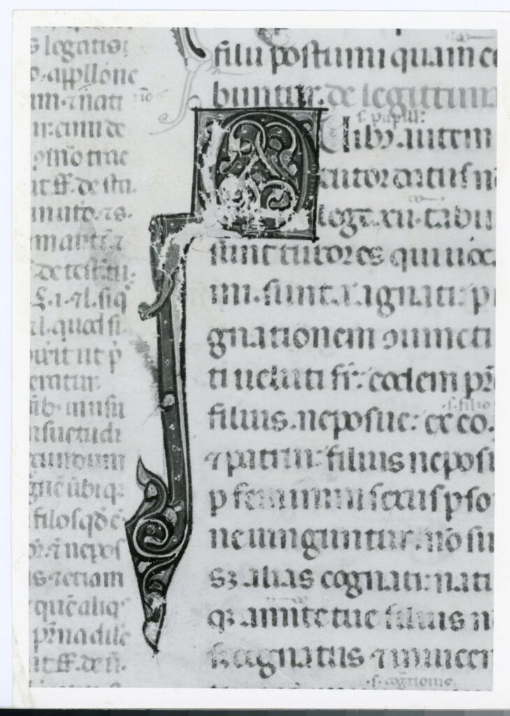 Anonimo italiano sec. XIV , Iniziale Q, Iniziale figurata, Motivi decorativi vegetali e zoomorfi