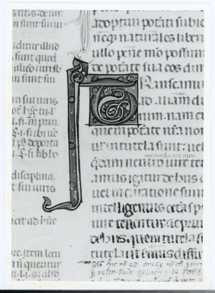 Anonimo italiano sec. XIV , Iniziale T, Iniziale figurata, Motivi decorativi vegetali e zoomorfi