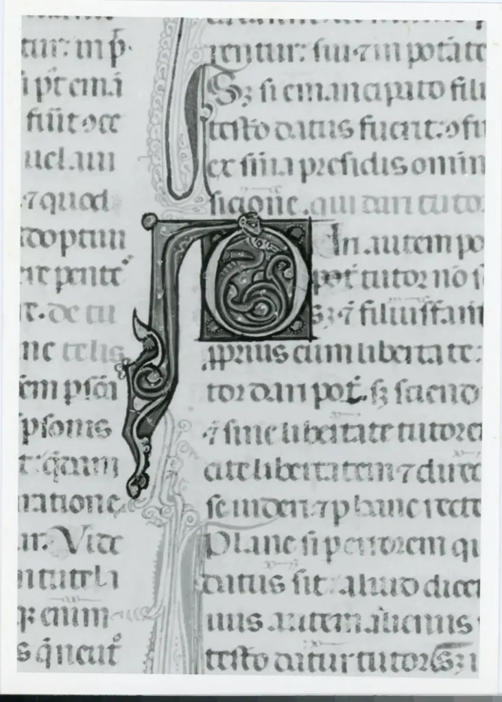 Universit&agrave; di Pisa. Dipartimento di Storia delle Arti , Anonimo italiano - sec. XIV, primo quarto - Lucca, Biblioteca Capitolare Feliniana, Ms. 325, f. 6v, particolare , fronte