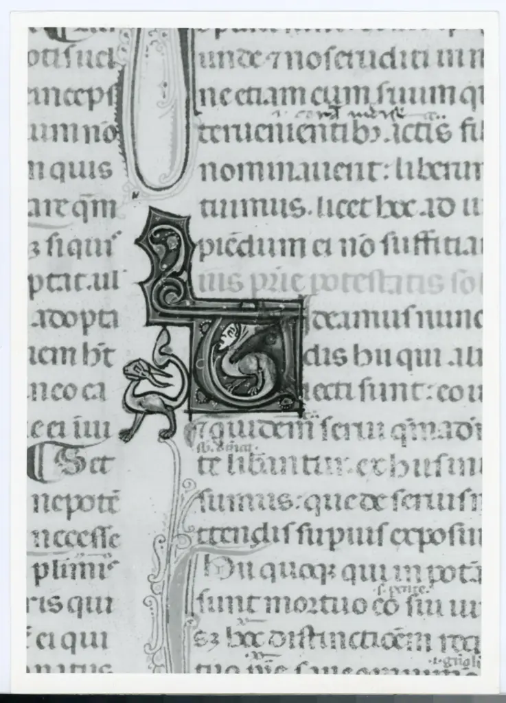 Universit&agrave; di Pisa. Dipartimento di Storia delle Arti , Anonimo italiano - sec. XIV, primo quarto - Lucca, Biblioteca Capitolare Feliniana, Ms. 325, f. 5v, particolare , fronte