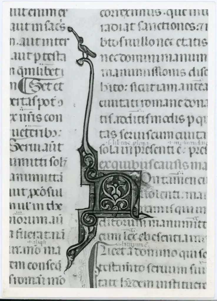 Anonimo italiano sec. XIV , Iniziale N, Iniziale decorata, Motivi decorativi vegetali e zoomorfi