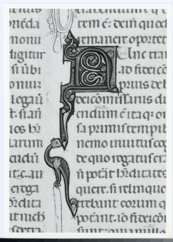 Anonimo italiano sec. XIV , Iniziale N, Iniziale decorata, Motivi decorativi vegetali e zoomorfi
