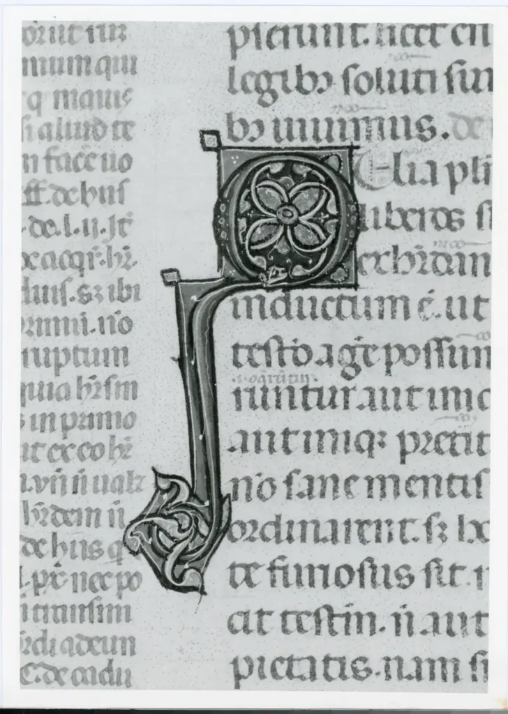 Anonimo italiano sec. XIV , Iniziale Q, Iniziale figurata, Motivi decorativi vegetali e zoomorfi