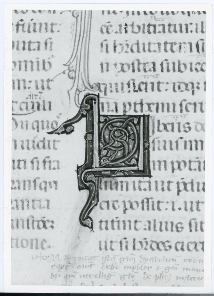Anonimo italiano sec. XIV , Iniziale L, Iniziale decorata, Motivi decorativi vegetali e zoomorfi