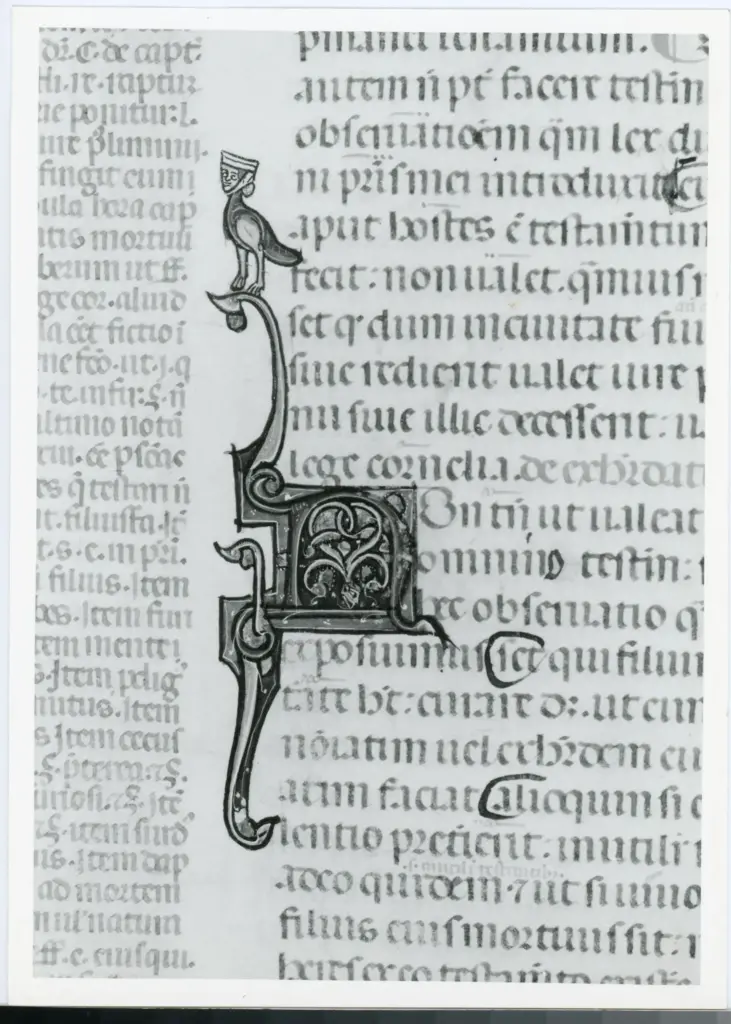 Anonimo italiano sec. XIV , Iniziale N, Iniziale decorata, Motivi decorativi con figure fantastiche, Motivi decorativi vegetali e zoomorfi