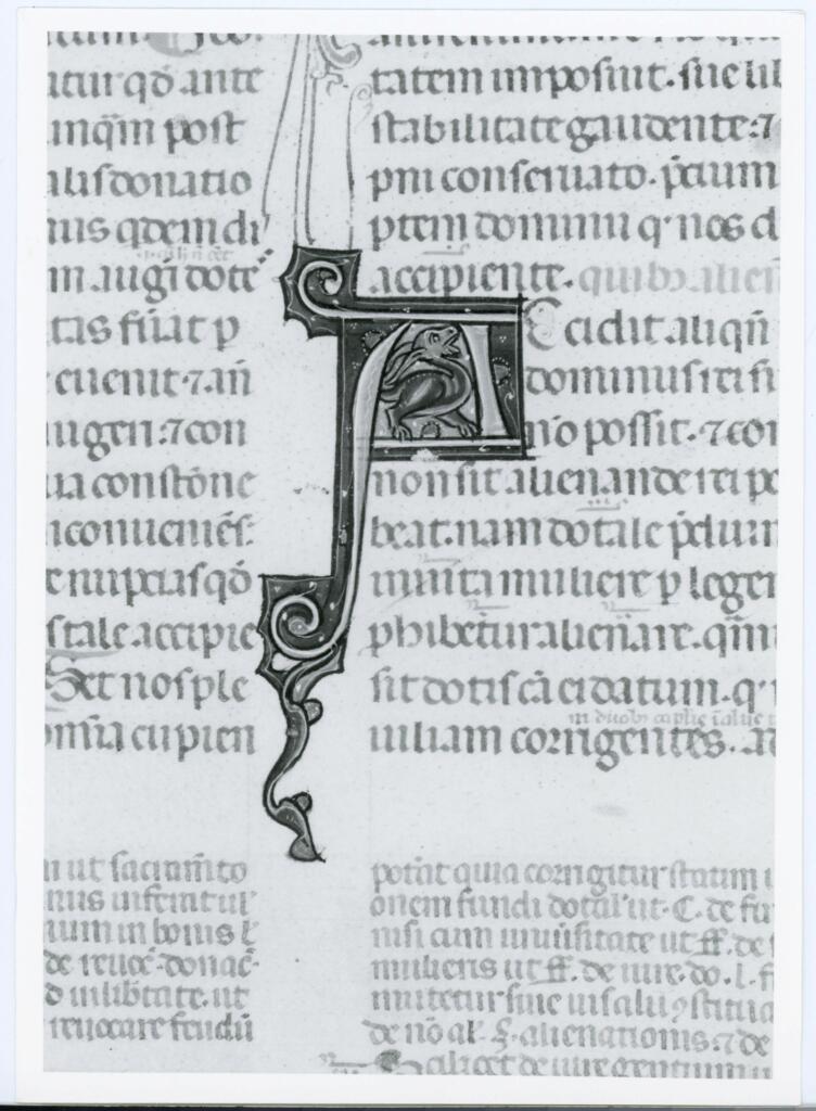 Anonimo italiano sec. XIV , Iniziale A, Iniziale decorata, Motivi decorativi vegetali e zoomorfi
