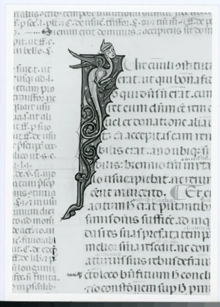 Universit&agrave; di Pisa. Dipartimento di Storia delle Arti , Anonimo italiano - sec. XIV, primo quarto - Lucca, Biblioteca Capitolare Feliniana, Ms. 325, f. 14v, particolare , fronte
