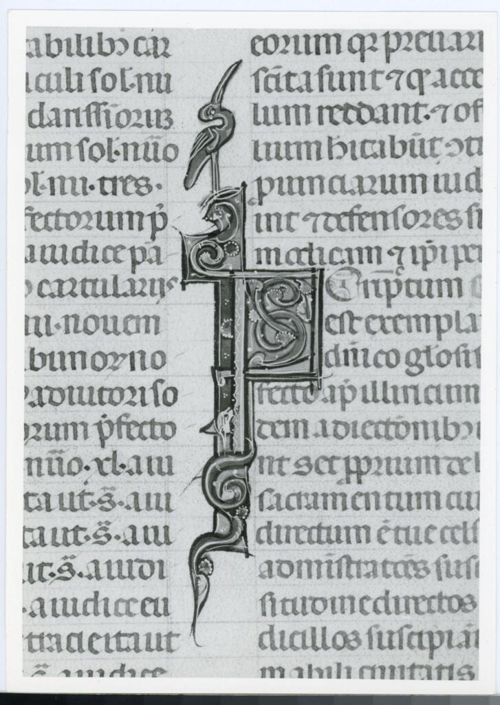 Anonimo italiano sec. XIV , Iniziale S, Iniziale decorata, Motivi decorativi vegetali e zoomorfi