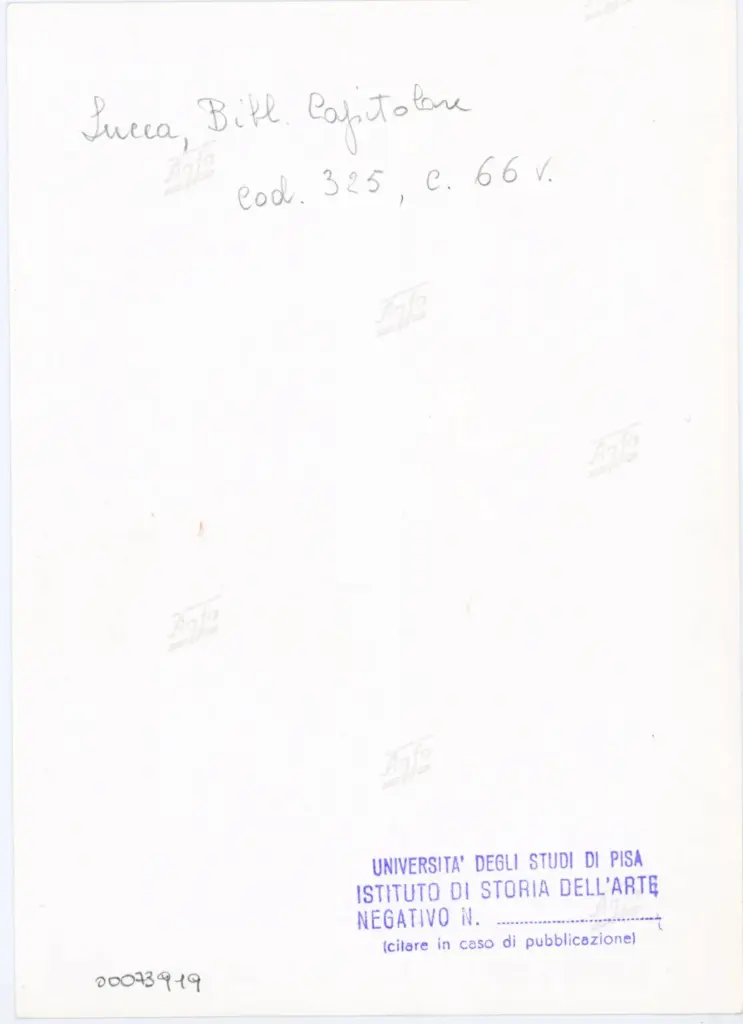Universit&agrave; di Pisa. Dipartimento di Storia delle Arti , Anonimo italiano - sec. XIV, primo quarto - Lucca, Biblioteca Capitolare Feliniana, Ms. 325, f. 66v, particolare , retro
