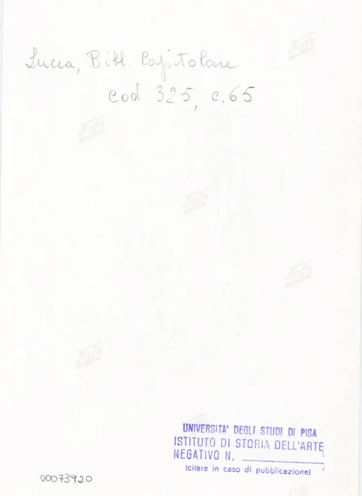 Università di Pisa. Dipartimento di Storia delle Arti , Anonimo italiano - sec. XIV, primo quarto - Lucca, Biblioteca Capitolare Feliniana, Ms. 325, f. 65r, particolare , retro