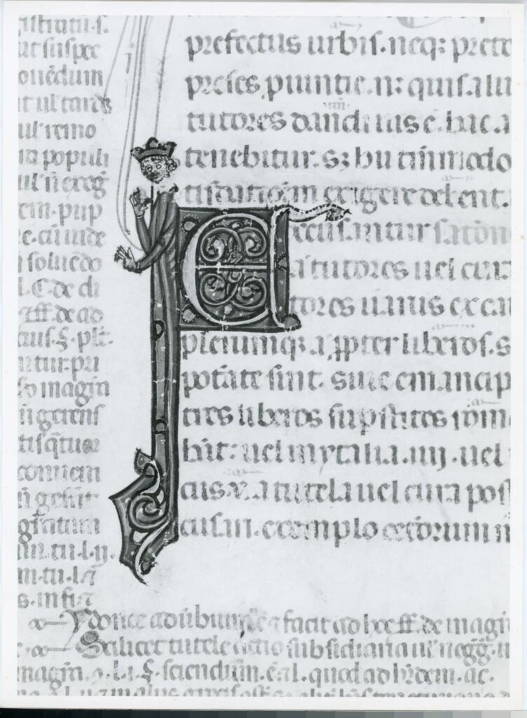 Anonimo italiano sec. XIV , Iniziale E, Iniziale decorata, Re, Motivi decorativi vegetali