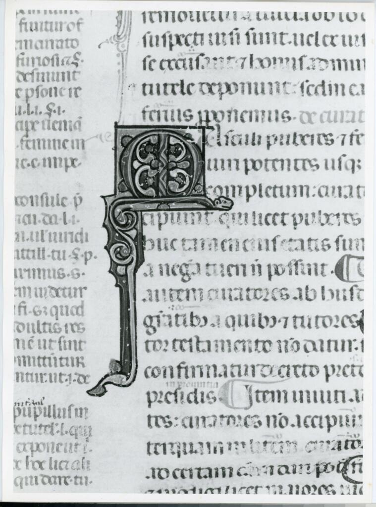 Anonimo italiano sec. XIV , Iniziale M, Iniziale decorata, Motivi decorativi vegetali e zoomorfi